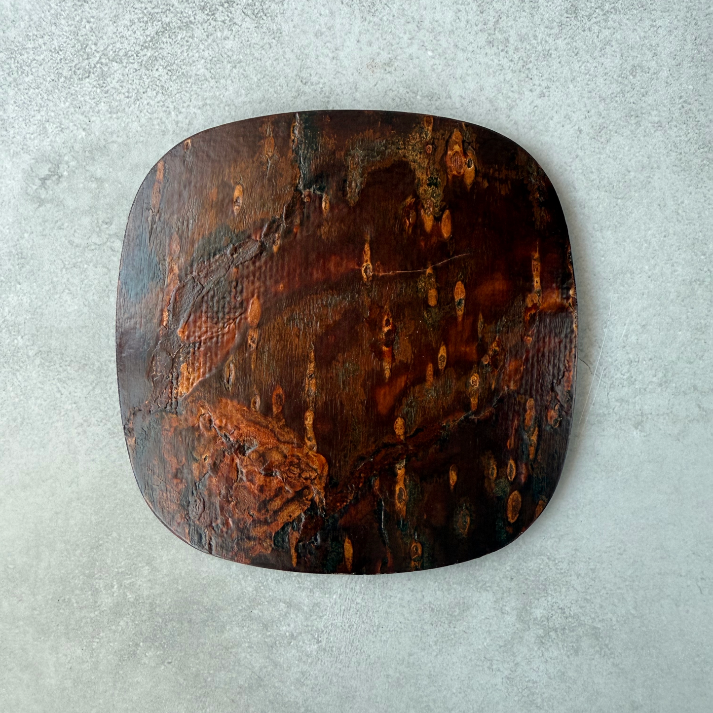 [Handcrafted Kabazaiku Tray Set of 5] Traditional Japanese Cherry Bark Craft from Akita – Square Plates 13cm (5.12in)